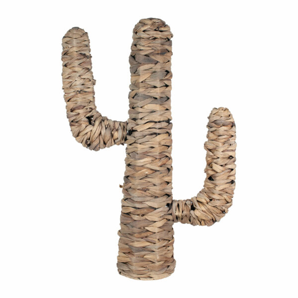Decorative palm and seagrass cactus – medium